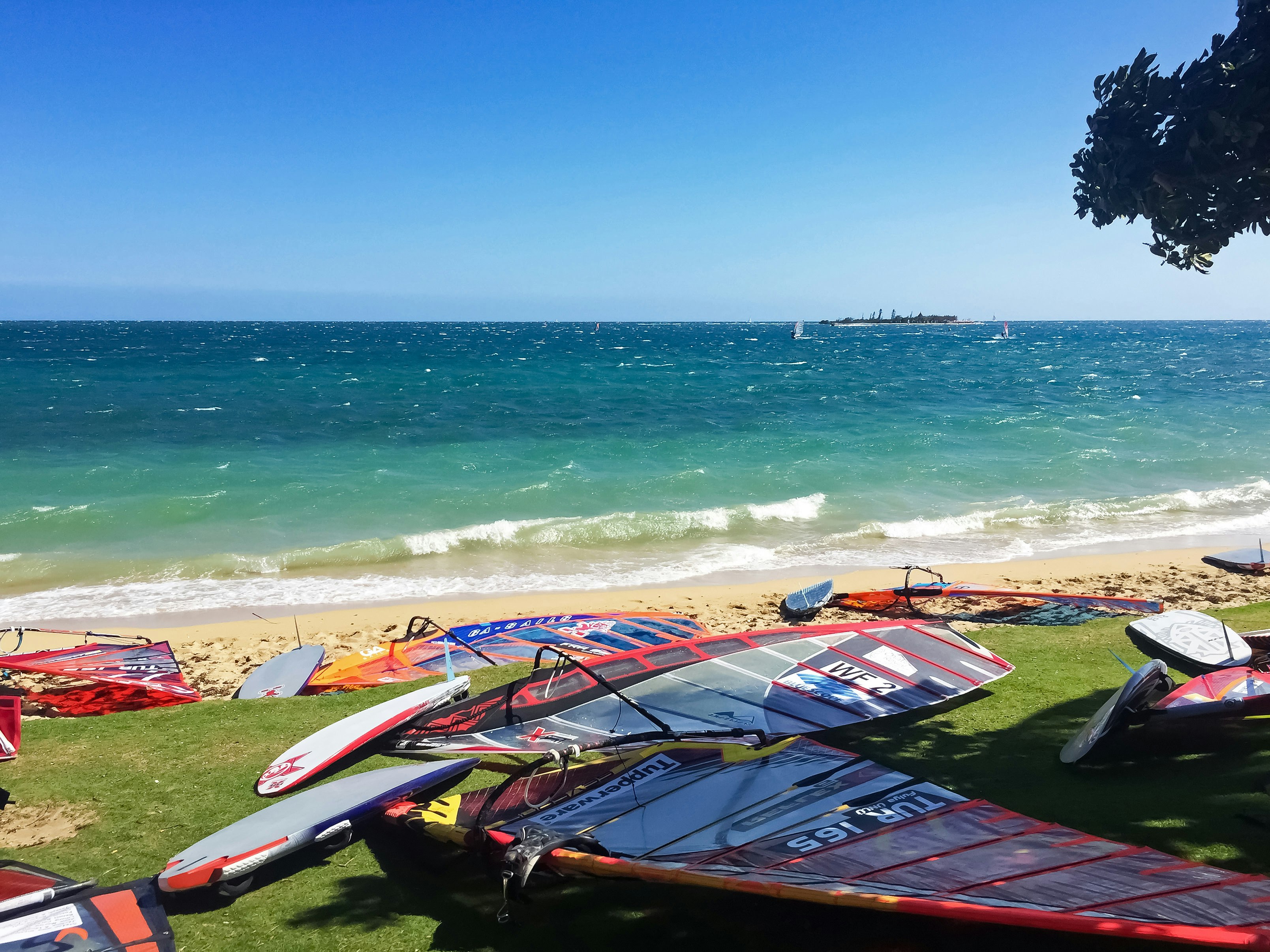 red and black boat on beach during daytime